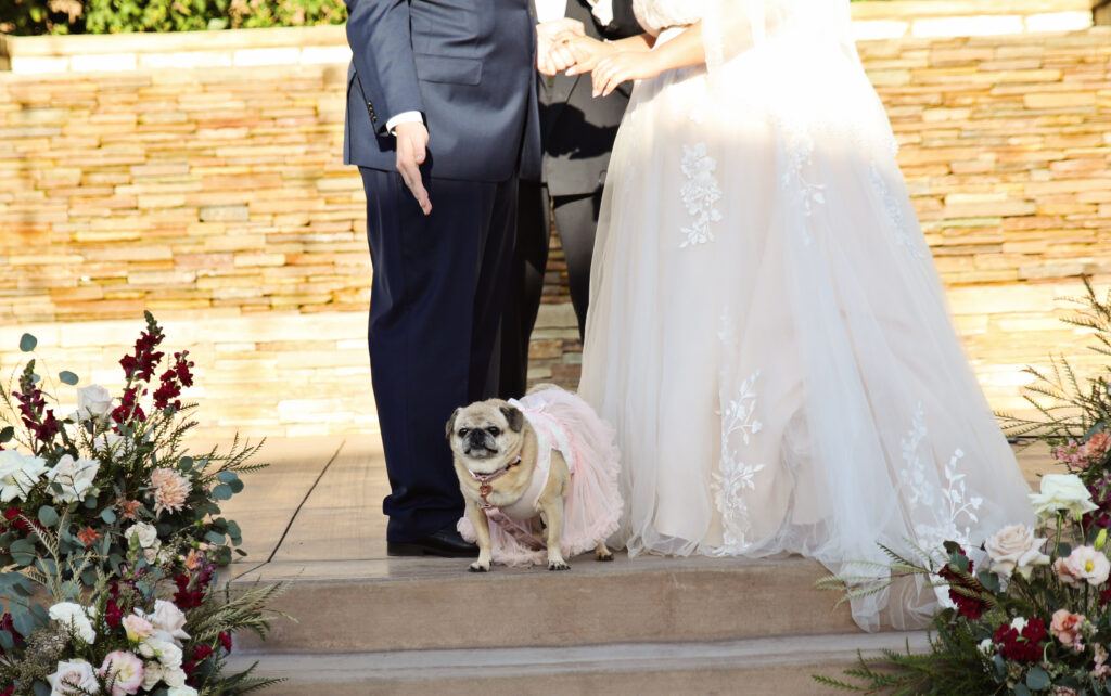 plus size bride wearing off the shoulder aline wedding dress, groom in tux los angeles california