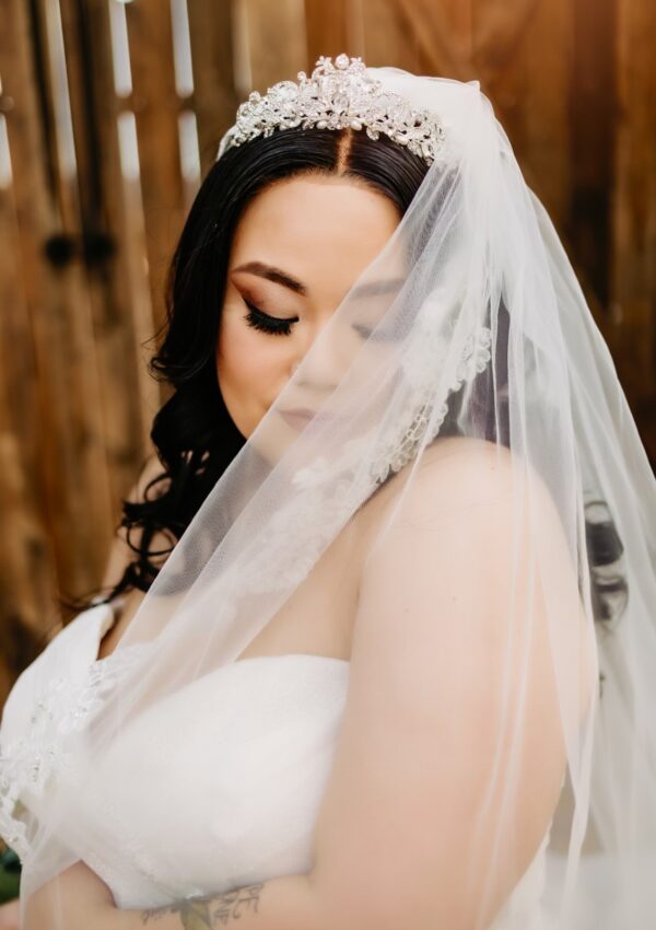 Bride wearing plus size glitter ruffle ballgown wedding dress phoenix arizona